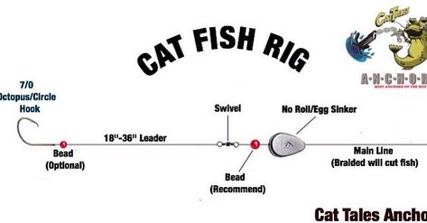 Don Hamonic on Instagram: “Typical Rig I use on the Red River for Cats.#cattales #anchors #info #fishing #catfish #catfishrigs #boating” Catfish Rig Setup, Catfishing Rigs, Catfish Rigs, Fishing Catfish, Fishing Tricks, Cat Fishing, Fish Beads, Fishing Photography, Fishing Rigs