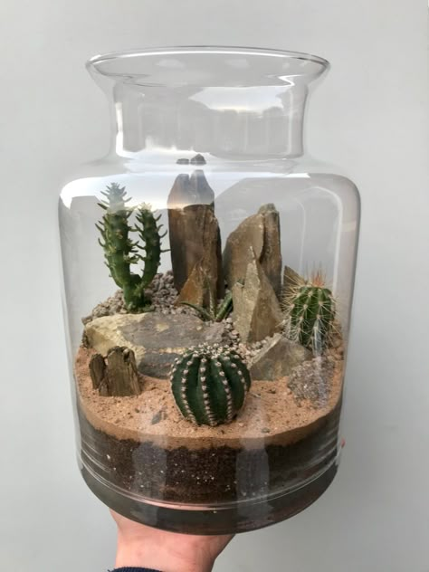 Sand Terrarium Ideas, Desert Terrarium Ideas, Cactus Terrarium Ideas, Dessert Terrarium, Succulent Terrarium Ideas, Themed Terrarium, Insect Eating Plants, Diy Terrariums, Tropical Terrariums