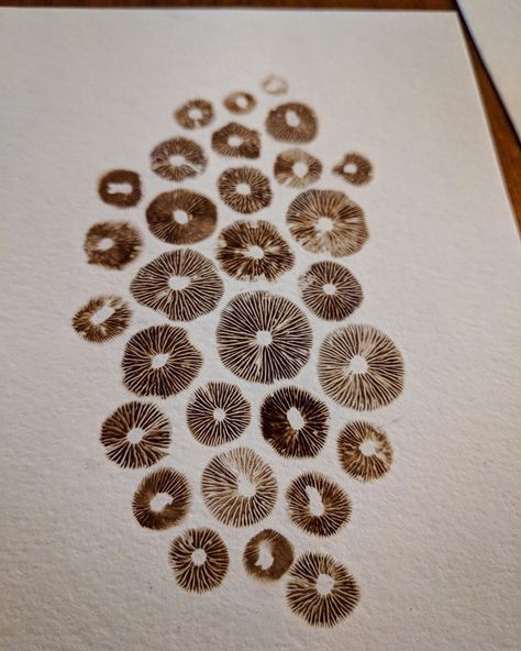 MushroomInBloom on Instagram: “The biggest mushroom used in these spore prints was probably 1/2 an inch. They’re so tiny and magical! I was almost certain they wouldn’t…” Mushroom Spore Print Tattoo, Mushroom Mycelium Tattoo, Mushroom Spores Art, Mushroom Spore Art, Mushroom Spore Print Art, Spore Print Tattoo, Spore Print Art, Mushroom Printing, Mycelium Art