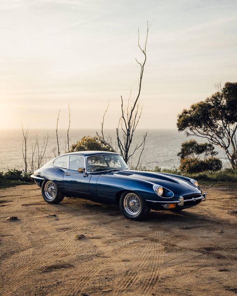 E Type Jaguar, Prefab Sprout, Michael Bay, Jaguar Car, Jaguar E, Jaguar E Type, E Type, European Cars, Automotive Art