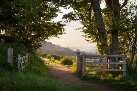 The British Countryside | Ben Tite | Flickr Open Gate, Cactus Poster, Explore Dream Discover, Poster Store, Poster Photo, British Countryside, Nature Posters, Summer Landscape, Landscape Poster