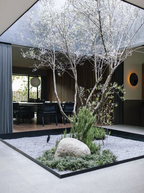 The New Pujol Is Absolutely Breathtaking - Eaterclockmenumore-arrow : A Mexico City icon gets a reinvention Japanese Patio, Modern Zen Garden, Planting Layout, Indoor Zen Garden, Modern Japanese Garden, Indoor Courtyard, Japanese Garden Landscape, Zen Interiors, Courtyard Gardens Design