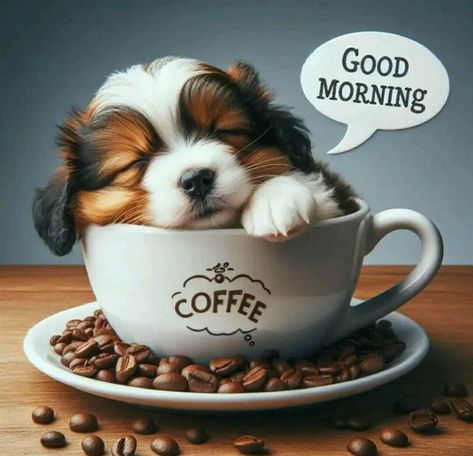 Verknipte Humor, Good Morning Puppy, Good Morning Time, Coffee Quotes Morning, Funny Good Morning Images, Happy Saturday Friends, Coffee Cartoon, Good Morning Love Gif, Love Good Morning Quotes