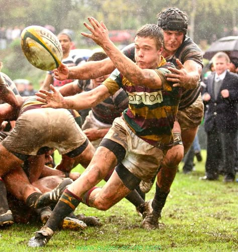 Rainy rugby. Wasp Style, Rugby Motivation, Rugby Aesthetic, Rugby Rules, Rugby Photography, Rugby Art, Rugby Poster, Rugby Games, Rugby Sport