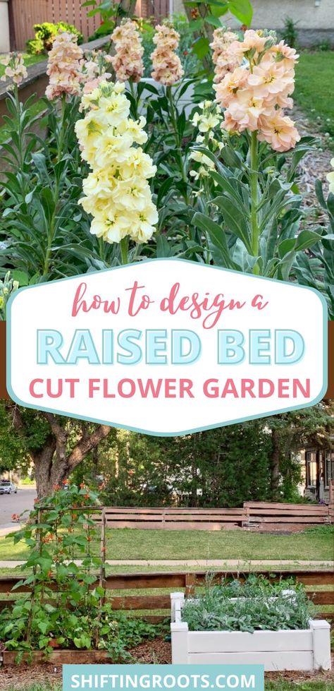 Wondering whether or not you can grow cut flowers in raised beds? The answer is yes! Pretty much anything you can grow in-ground can be grown in a raised bed. Here's how to design your raised bed cut flower garden! Above Ground Flower Garden, Raised Beds Flower Garden, How To Make A Raised Flower Bed, Raised Floral Garden Beds, Best Flowers For Garden Beds, Raised Bed Flower Garden Ideas Planter Boxes, Raised Garden Beds Wildflowers, Raised Garden Beds With Flowers, Garden Box Flowers