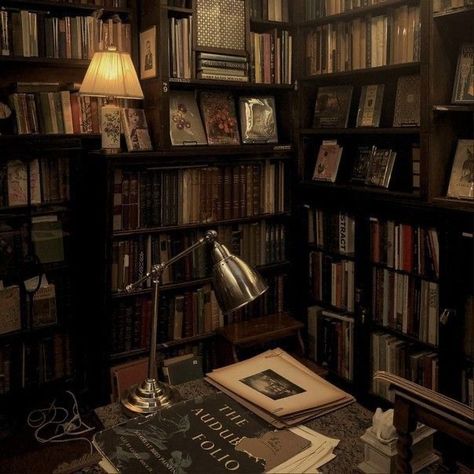 Dark Academia Widget, العصور الوسطى, Classic Academia, Lots Of Books, Dark Acadamia, Academia Aesthetics, Chaotic Academia, Aesthetic Dark Academia, Library Aesthetic