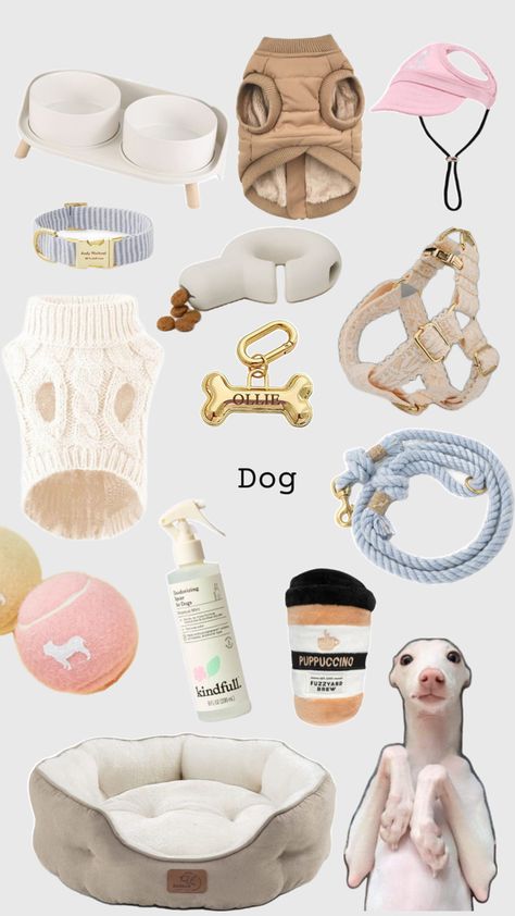 Boujee Dog Aesthetic, Dog Accessories Aesthetic, Things For Puppies, Aesthetic Dog Supplies, Boujee Dog, Puppy Essentials, Puppy Aesthetic, Dog Supplies List, Puppy Things