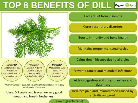 Dill Health Benefits, Dill Benefits, Respiratory Remedies, Benefits Of Dill, Respiratory Disorders, Herb Guide, Medical Ethics, Benefits Of Nature, Good Digestion