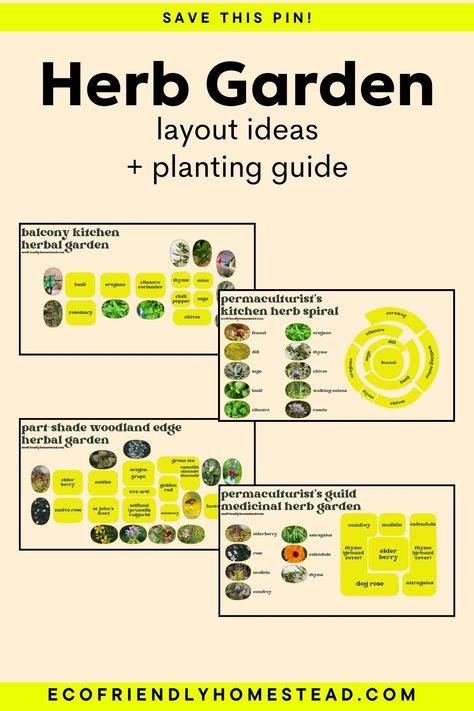 herbal garden layout tips Herb Identification Chart, Small Herb Garden Design Layout, Medicinal Herb Garden Layout Ideas, Herb Garden Plans Layout, Herb Garden Layout Ideas, Herb Garden Inspiration, Herb Garden Layout Design, Medicinal Garden Layout, Herbal Garden Design