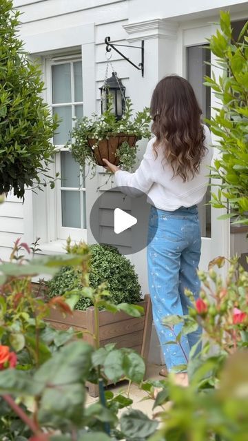 Hanging Petunia Baskets, Cottage Hanging Baskets, White Hanging Baskets Flowers, White And Green Hanging Baskets, Pansy Hanging Basket, White Petunias, Petunia Hanging Baskets, Dish Gardens, Hanging Plants Outdoor