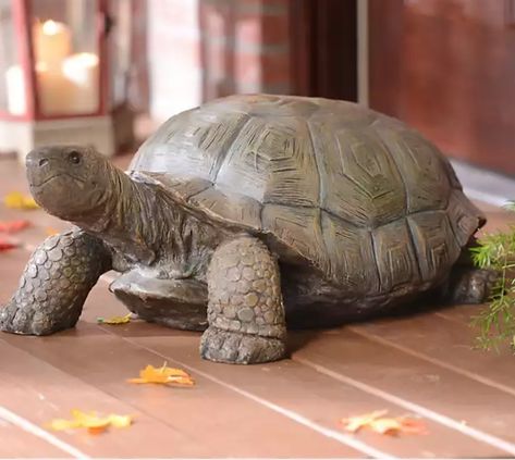 Turtle Humanoid, Tortoise Sculpture, Tortoise Cake, Pottery Turtle, Ceramic Turtle, Turtle Sculpture, Giant Tortoise, Anatomy Sculpture, Turtle Figurines