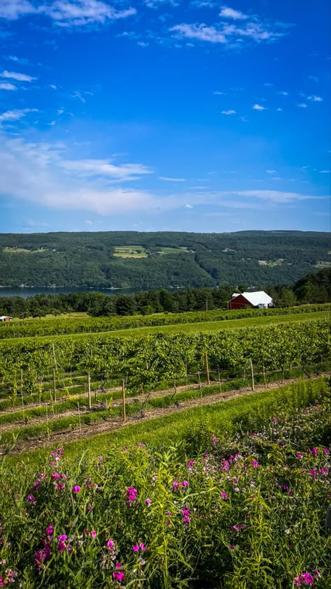 Fingerlakes New York, Upstate New York Aesthetic, Best Us Travel Destinations, Summer In Usa, Ny Aesthetic, Finger Lakes Wineries, Finger Lakes Ny, Keuka Lake, New York Vacation