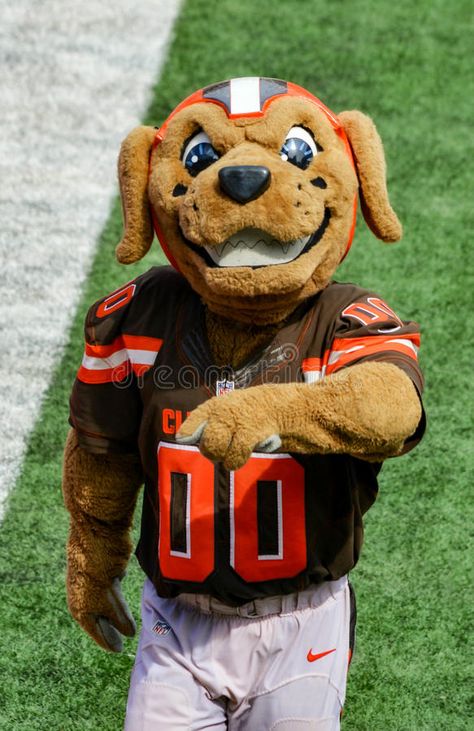 NFL Mascot Chomps The Cleveland Browns. NFL Cleveland Browns Mascot, Chomps, mak #Sponsored , #SPONSORED, #Sponsored, #Mascot, #mak, #Browns, #NFL Brown Dog Names, Cleveland Browns Aesthetic, Cleveland Browns Humor, Cleveland Browns Wallpaper, Cleveland Browns Sublimation, Cleveland Browns Logo, Cleveland Browns Football, Nfl Cleveland Browns, Browns Football