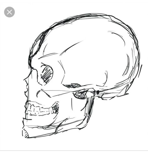 Sideways Skull Drawing, Sideways Face Drawing, Sideways Skull, Drawing Skull, Mouth Drawing, Drawing Hair, Skull Drawing, How To Draw Hair, Drawing People