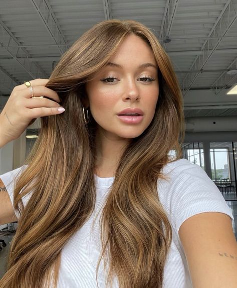 Light Brown Hair Full Color, Honey Blonde Babylights On Brown Hair, Light Brown Ginger Hair, Light Caramel Balayage, Light Ginger Brown Hair, Gold Brown Hair, Future Hairstyles, Darker Hair, Warm Brown Hair