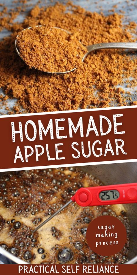 Homemade Apple Sugar - The sugar making process is a tricky thing. Learn all about my experience extracting sugar from apples and making apple sugar at home. Homegrown Apple Recipes, Dehydrated Apple Recipes, What To Do With Apple Scraps, Finishing Sugar Recipes, Finishing Sugar, Homegrown Recipes, Preserve Apples, Seasonal Recipes Fall, Canning Apples