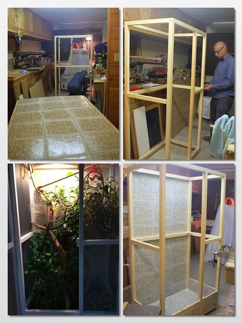 ** Chameleon Cage ** | For Sean.... Sorry I did erase most o… | Flickr Iguana Cage Ideas, Bioactive Chameleon Enclosure, Chameleon Terrarium, Chameleon Enclosure, Iguana Cage, Iguana Pet, Chameleon Care, Chameleon Cage, Terrariums Diy