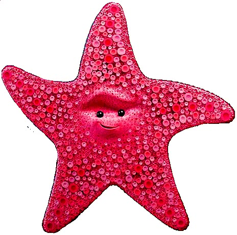 Starfish Character Design, Nemo Starfish, Peach Finding Nemo, Paint On Shells, Nemo Drawing, Nemo Characters, Starfish Drawing, Finding Nemo Movie, Finding Nemo Characters