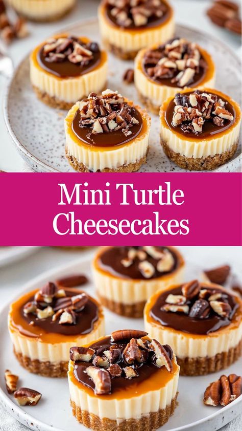 Indulge in layers of chocolate, caramel, and pecans with these Mini Turtle Cheesecakes—a bite-sized slice of heaven! 🧁✨ #MiniTurtleCheesecakes #ChocolateLovers #CaramelDreams #PecanPerfection #BiteSizedBliss #DecadentDesserts #CheesecakeGoals #SweetIndulgence #TurtleTreats #DessertDelight Turtle Cheesecake Bites, Mini Turtle Cheesecakes, Turtle Cheesecake Recipe Easy, Turtle Dessert Recipes, Mini Turtle Cheesecake, Roe Recipes, Mini Chocolate Cheesecakes, Turtle Dessert, Creamy Cheesecake Recipe