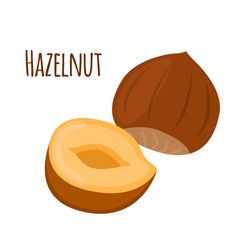 Hazel Nut Drawing, Hazelnut Drawing, Brand Moodboard, Illustration Simple, Casual Art, Food Clips, Chocolate Brands, Farmhouse Garden, Anime Eye Drawing