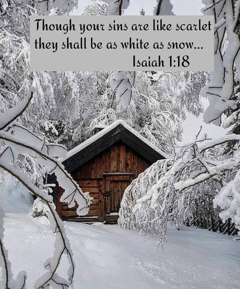 Though your sins are like scarlet they shall be as white as snow... Isaiah 1:18 Winter Bible Verses, Winter Scripture, January Ideas, Godly Inspiration, Charles Spurgeon Quotes, Book Of Isaiah, Isaiah 1, Spurgeon Quotes, Memory Verses