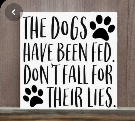 Funny Dog Signs, Dog Quote, Wall Art Funny, Dog Crafts, Pet Signs, Cat Signs, Dog Wall Art, Art Funny, Pallet Signs