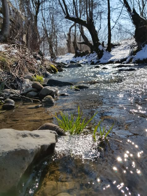 Winter To Spring, Cold Spring, Spring Awakening, Winter Nature, Spring Mood, Late Winter, Landscape Photography Nature, Water Art, Winter Scenery