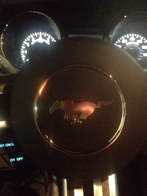 2015 Mustang @cyndi628  I love it!!!!!!! Just car seat little snug lol!! (: Mustang Inside, Brahma Kumaris Meditation, Usa Life, Mustang Interior, Red Mustang, Mustang 2015, Baji Keisuke, Brahma Kumaris, S550 Mustang