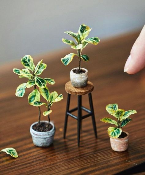 #victorian #victoriandollhouse #dollhouse #miniatures #dollhouseminiatures #dollhouseaccessories #dollhousefurniture #dollhouseplants #miniatureplants #plants #garden #pottedplants Fiddle Leaf Fig Plant, Fig Plant, Mini Plant, Lemon Art, Mini Flowers, Diy Doll Miniatures, Miniature Plants, Mini Plants, Fiddle Leaf