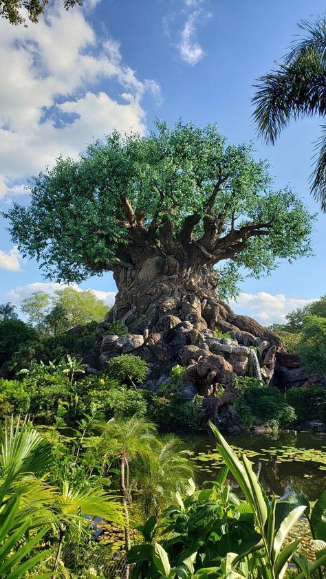 Animal Kingdom Tattoo, Disney Park Wallpaper, Animal Kingdom Aesthetic, Disney Animal Kingdom Picture Ideas, Animal Kingdom Wallpaper, Disney Tree Of Life, Animal Kingdom Tree Of Life Drawing, Tree Of Life Disney, Disney Animal Kingdom Aesthetic