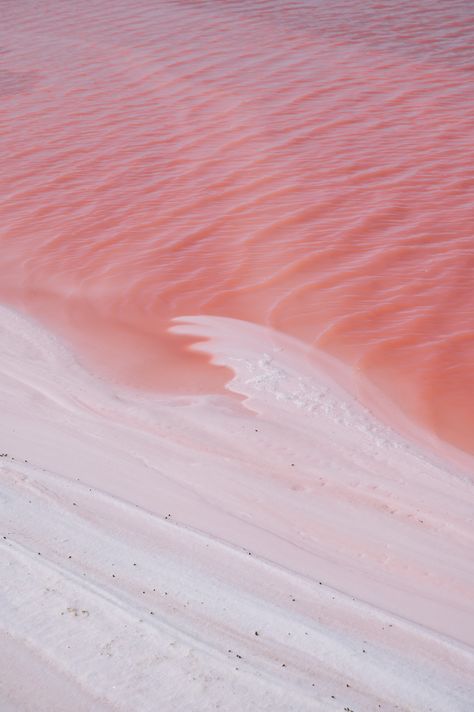 The Pink lagoon in Yucatán are actually simply man-made salt lakes. A specific type of algae gives the very saline water it’s color – that truly shines in all the rose and pink tones you can imagine. It’s like a dream come true and at the moment where you think it’s actually too good to be real, along comes a group of flamingos… In this guide we give you all the updates for a visit of Las Coloradas after a lot of changes have happened in the last few years! Seanan Mcguire, Pink Lagoon, Saline Water, Pink Lake, Pink Water, Austria Travel, Bright Spring, Pink Salt, Give Back