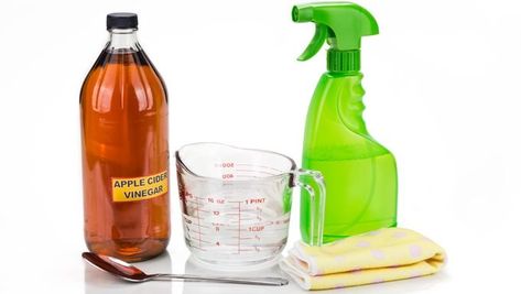 If you're concerned about using these medications, talk to your vet about alternative treatments to keep pests off pets. Here's a homemade flea and tick remedy spray that you can whip up in your own kitchen. You probably have the ingredients in your home right now. Apple Cider Vinegar Cleaning, Diy Mould Removal, Homemade Apple Cider Vinegar, Homemade Apple Cider, Mold In Bathroom, Diy Cleaning Solution, Vinegar Cleaning, Clean Microwave, Mold Remover