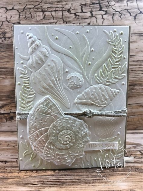 Stampin Up Sea Shell Cards, Cardmaking Ideas Inspiration, Stampin Up Friends Are Like Seashells, Seashell Cards, Friends Are Like Seashells, Seaside Bay, Sea Cards, Nautical Cards, Beach Cards