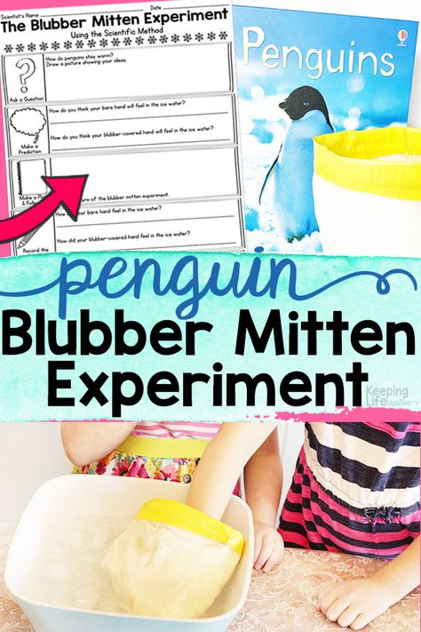 Penguin Experiment, 2nd Grade Science Projects, Penguins Kindergarten, Antarctic Animals, Penguin Activities, Science Experiments For Preschoolers, Preschool Planning, Winter Classroom, Penguin Book