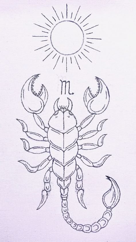 Scorpio Zodiac Sign Drawing, Scorpio Sketch Drawings, Watercolor Scorpion Tattoo, Simple Scorpion Tattoo Outline, Cute Scorpion Drawing, Scorpion Tattoo Design Simple, Scorpion Tattoo Zodiac, How To Draw A Scorpion, Scorpio Drawing Art