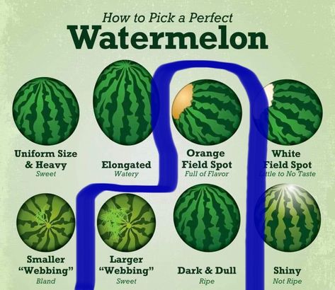 How To Pick The Perfect Watermelon, How To Tell If A Watermelon Is Good, Food Saver Hacks, Watermelon Nutrition Facts, Amazing Food Hacks, Healthy Food Facts, Fruit Dishes, Food Saver, Food Info