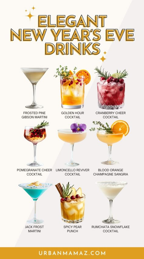 Looking for elegant New Year's Eve drinks? Check out this list of 18 glamorous New Year's Eve drinks to make your party unforgettable. Nye Party Ideas On A Budget, New Years Eve To Do List, New Year Hosting, New Years Cocktails Recipes, New Years Party Food Ideas, At Home New Year’s Eve Dinner, New Year’s Eve Foods, New Year’s Eve Drinks, Nye Drink Ideas