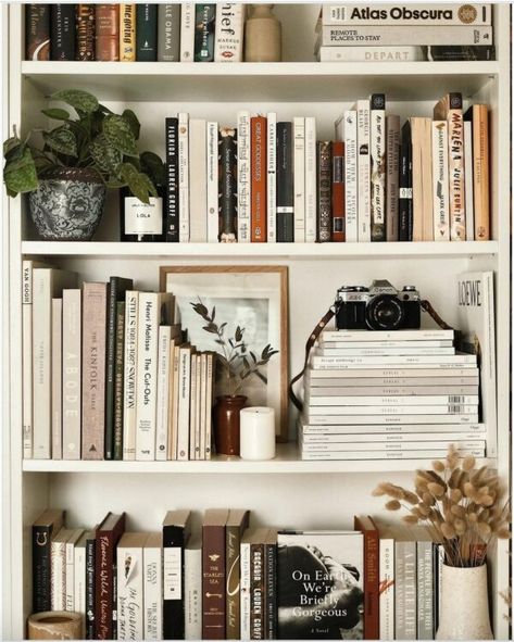 Bookshelf Styling: A How-To Guide for Upgrading Your Bookshelves from Storage Dumps to Decor · Primer Lots Of Books, Bookshelf Styling, Shelf Styling, Home Library, Book Shelf, My New Room, Cheap Home Decor, 인테리어 디자인, Where The Heart Is