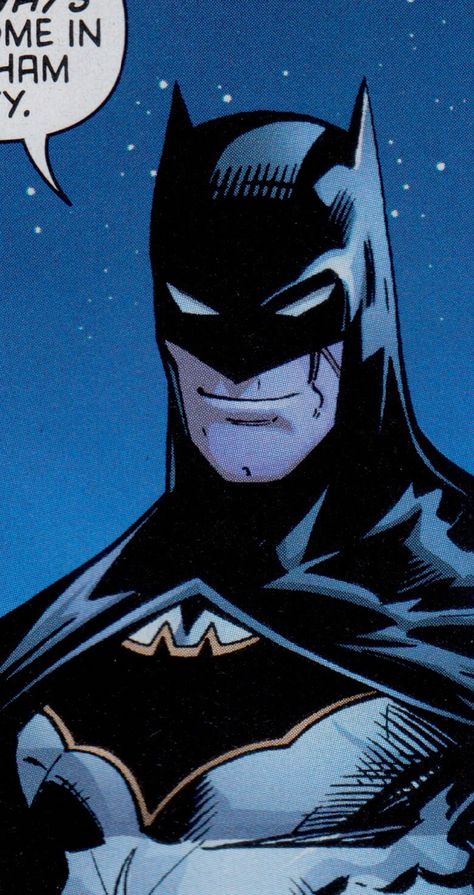 Batman Smiling, Batman Drawing, I'm Batman, Batman Pictures, Bat Man, I Am Batman, Crush Memes, Batman And Catwoman, Batman Comic Art