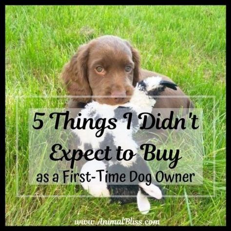 First Time Dog Owner, Cool Blog, New Puppy Checklist, Puppy Checklist, Dog Advice, About Animals, Dog Care Tips, Pet Odors, Dog Blog