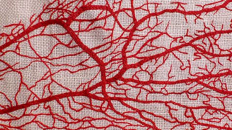 Veins de la main by Broderies de Cecile Anatomy Fashion, Needle Felt Art, Blood Bag, Helen Wells, Love Quilt, Red Veins, X Stitch, Blood Bank, Textiles Projects