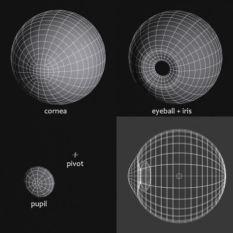 3D eye Face Topology, 3d Polygon, Maya Modeling, Environment Map, Eye Anatomy, Eye Texture, Face Anatomy, Zbrush Tutorial, Hard Surface Modeling