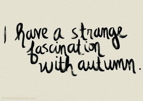 Maybe it's the crisp mornings, pumpkin everything, halloween, the changing leaves, sweater weather...to name a few. True Statements, Autumn Days, Fabulous Fall, Happy Fall Y'all, Autumn Beauty, Favorite Season, Fall Favorites, Happy Fall, Fall Thanksgiving