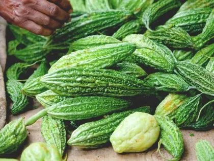 Benefits Of Bitter Melon, Bitter Gourd Benefits, Bitter Melon Benefits, Melon Benefits, Gourd Recipes, Bitter Melon Recipes, Okra Benefits, Food International, Melon Tea