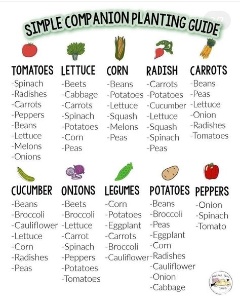 Pepper Garden Layout, List Of Vegetables To Grow, Garden Plants That Grow Well Together, Planting A Garden Layout, Which Vegetables To Plant Together, Plant Spacing Guide Vegetable Garden, Diy Veggie Garden Ideas, Spring Vegetable Garden Layout, Vegetables To Plant Together