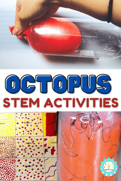 Check out the list below of our favorite octopus STEM activity ideas! You'll find octopus activities for science, octopus technology activities, octopus engineering activities, and octopus math worksheets! Animal Stem Activities Elementary, Octopus Stem Activities, Kindergarten Octopus Activities, Ocean Animal Stem Activities, Stem Ocean Activities, Stem Ocean Activities Elementary, Octopus Craft Kindergarten, Octopus Science Experiment, Ocean Stem Activities For Kids