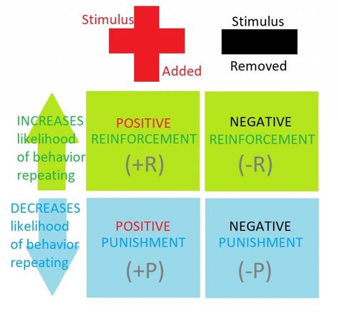 Negative Reinforcement Examples, Negative Reinforcement, Applied Behavior Analysis, Behavior Analysis, Timing Is Everything, Best Answer, Positive Reinforcement, Positive And Negative, Math Teacher