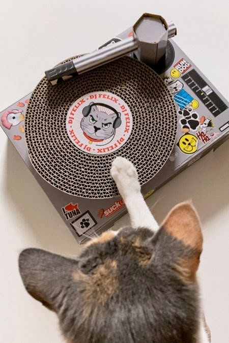 Pet Accessories + Supplies | Urban Outfitters Dj Turntable, Pets Accessories, Ugly Cat, Cat Towers, Pet Supplies & Accessories, Cat Scratch, Cat Cafe, Cat Room, Cat Accessories