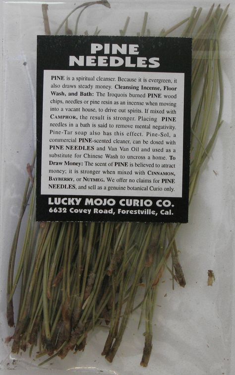 CLEANSING: -- Pine is a spiritual cleanser. Because it is evergreen, it also Draws Steady Money. Cleansing Incense, Floor Wash, and Bath: The Iroquois burned PINE Wood Chips, Needles or Pine Resin as an incense when moving into a vacant house, to Drive Out Spirits. Cinnamon Plant, Cleansing Incense, Herb Magic, Buckeye Nut, Pine Resin, Magickal Herbs, Witch Herbs, Magia Das Ervas, Magic Herbs