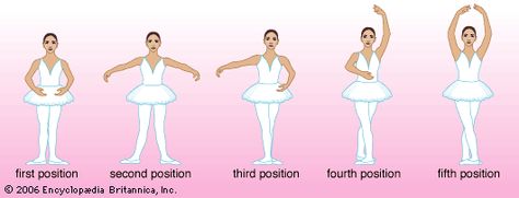 Art:Ballet dancers use five basic positions of the feet and arms in all of their dancing. Dance Classique, Ballet Hands, Dance Journal, Ballet Steps, Ballet Terms, Ballet Basics, Dance Skills, Ballet Positions, Dancer Art